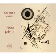 Fisura privirii de Gheorghe Vidican