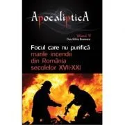 Focul care nu purifica. Marile incendii din Romania secolelor 17-21 de Dan-Silviu Boerescu