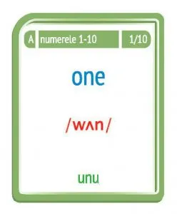 Notiuni matematice