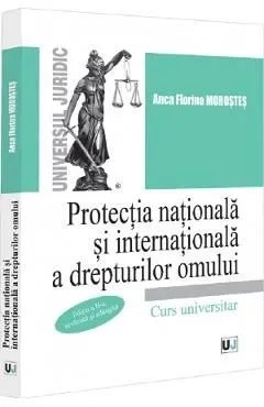 Protectia nationala si internationala a drepturilor omului de Anca Florina Morostes