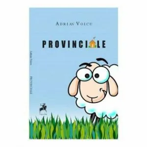 Provinciale de Adrian Voicu