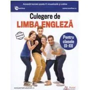 Culegere de limba engleza. Clasele 9-12 de Daniela Stefania Ionescu