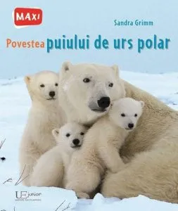 Povestea puiului de urs de Sandra Grimm