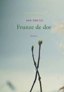 Frunze de dor