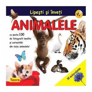 Lipești și înveți animalele 4 