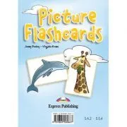 Curs limba engleza Set Sail 4 Picture flashcards de Jenny Dooley