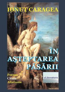 In asteptarea pasarii