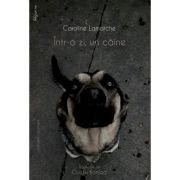 Intr-o zi, un caine
