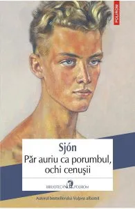 Par auriu ca porumbul, ochi cenusii de Sjon