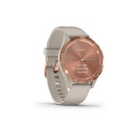 Smartwatch Garmin 010-02238-22