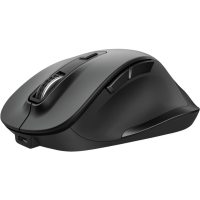Mouse Trust TR-23804