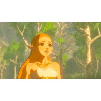 Jocuri Nintendo Switch NTN4110001