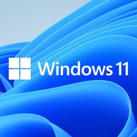 Software Microsoft Windows 11 Home 64-bit KW9-00632