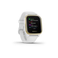 Smartwatch Garmin 010-02427-11