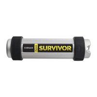 Memorie externa Corsair CMFSV3B-256GB