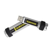 Memorie externa Corsair CMFSV3B-256GB