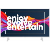 TV LED Horizon 43HL6331F/B