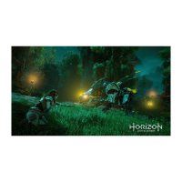 Jocuri Guerrilla Games PlayStation 4 SO-9959267