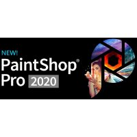 Software Corel Pro 2020 Windows LCPSP2020ML0