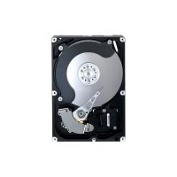 Stocare server Hgst HUS726060ALE614