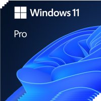 Software Microsoft Windows 11 Pro 64-bit Pachet special W11 HAV-00163 5Buc