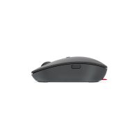 Mouse Lenovo GY51C21210