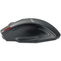 Mouse Trust TRUST GXT130 WLESS GAMING MSE (20687)