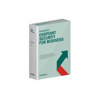Software Kaspersky Endpoint Security for Business KL4863OAKFS