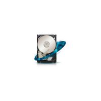 Stocare server Seagate ST3000NM0025