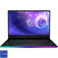 Laptop Msi GE66 Raider 9S7-154414-285