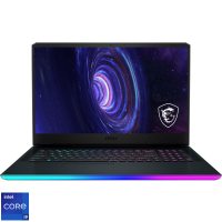 Laptop Msi GE76 Raider 9S7-17K314-495