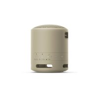 Boxe Sony SRSXB13C.CE7