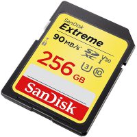 Card memorie Sandisk SDSDXVF-256G-GNCIN