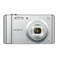 Aparat foto Sony DSCW800S.CE3