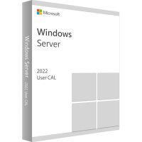 Software Microsoft Server 2022 DG7GMGF0D5VX:0004