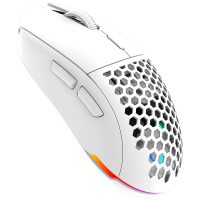 Mouse Aqirys AQRYS_TGAALPHA