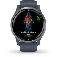Smartwatch Garmin 010-02430-10
