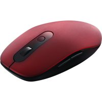 Mouse Canyon CNS-CMSW09R