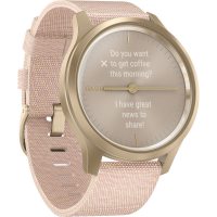 Smartwatch Garmin 010-02240-22