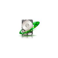 Stocare server Seagate ST1000NX0313