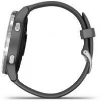 Smartwatch Garmin 010-02174-04