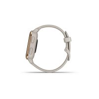 Smartwatch Garmin 010-02426-11