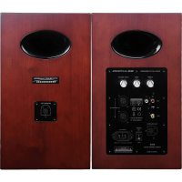 Boxe Airpulse A200-CH