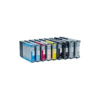 Consumabil Epson Cartus cerneala T602B C13T602B00