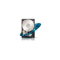 Stocare server Seagate ST32000645SS