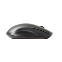 Mouse Rapoo HM120591