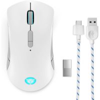 Mouse Lenovo GY51C96033