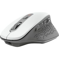 Mouse Trust TR-24035