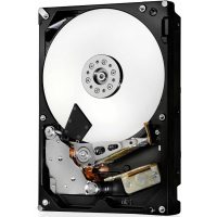 Stocare server Hgst 0F22819