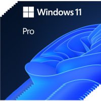 Software Microsoft Windows 11 Pro 64-bit Pachet special W11 HAV-00163 10Buc